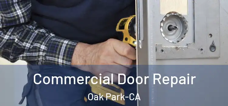  Commercial Door Repair Oak Park-CA